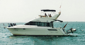 Godewind